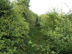 P20077118645	The path heading north from Borough Green between paddocks.