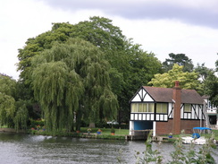 P20077148775	The Thames between Cookham and Bourne End.