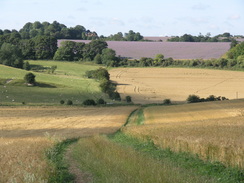 P20077288849	The path climbing up onto Windmill Hill from Clothall.