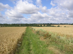 P20077288866	Heading east towards Roe Green.