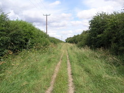 P20077288913	Heading east along the Icknield Way to the north of Barley.