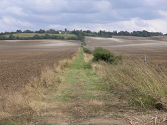 P20077288915	The path leading up to Heydon.