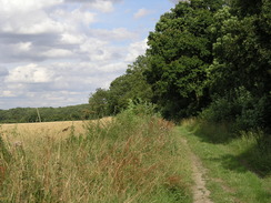 P20077288933	The path between Freewood Farm and Strethall.