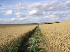 P20077288938	The path leading northeastwards to the M11.