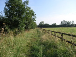 P20078119009	The path heading north to Stretchworth.