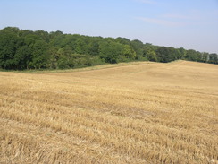 P20078119017	The path leading eastwards from the Devil's Dyke.