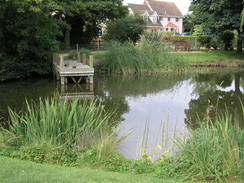 P20078119078	A pond in Tuddenham St Mary.
