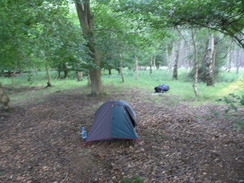P20078119108	My tent in King's Wood.