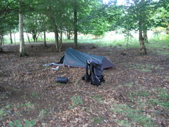 P20078129111	My tent in King's Wood.