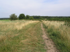 P20078129152	Heading north across Knettishall Heath.