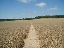 P20078250067	Heading north to Ewelme Park.