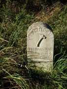 P20078260010	The marker stone at the point that the Icknield Way and Ridgeway diverge.