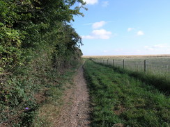 P20079169210	The path leading to Sharpenhoe Road.