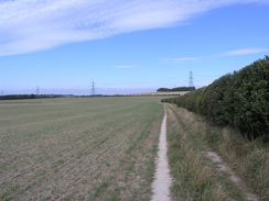 P20079169227	The Icknield Way heading south to the junction with the historic route.