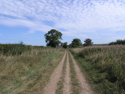 P20079169229	Following the Icknield Way northeastwards.