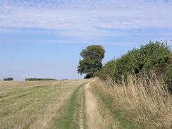 P20079169237	Following the Icknield Way northeastwards.