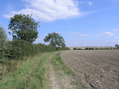 P20079169256	The path between Pirton and Ickleford.