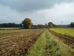 P2007A030044	The path heading east towards Silkstead.