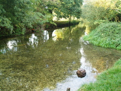 P2007A030154	The River Itchen to the north of Eastleigh. 