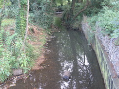 P2007A089353	A stream in Tadburn Meadows Nature Reserve.