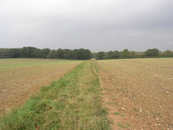 P2007A089438	The path leading towards Farley.