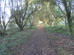 P2007A189505	Following the Test Way northwards towards Horsebridge.