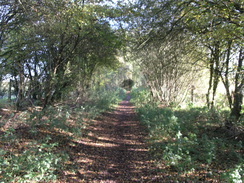 P2007A189508	Following the Test Way northwards towards Horsebridge.