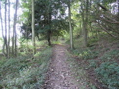 P2007A189576	The path climbing up near Honeycomb.