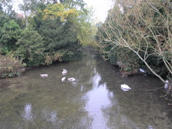 P2007A229592	The River Nadder at the Long Bridge in Salisbury.