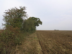 P2007A229622	The hedge leading from the trig pillar to the west of Netton Clump.