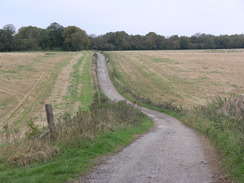 P2007A229671	Following the Monarch's Way northwestwards towards Dinton Beeches.