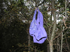 P2007A259728	Pants hanging from a tree in West Down Woods.