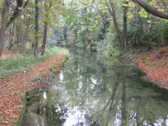 P2007A259735	The river in Chilboton.