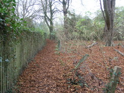 P2007A259737	The path leading towards Chilbolton Common.