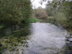 P2007A259743	The River Test in Wherwell.