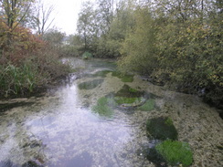 P2007A259748	The River Test in Wherwell.