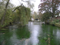 P2007A259749	The River Test in Wherwell.