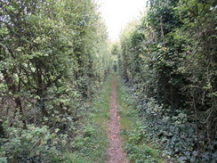 P2007A259751	The track leading north from Wherwell.