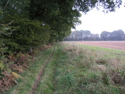 P2007A259757	The path leading towards Park Farm.