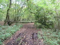 P2007A259761	The track leading east from Park Farm.