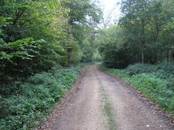 P2007A259780	The path heading towards the old railway bridge near Middleton Farm.