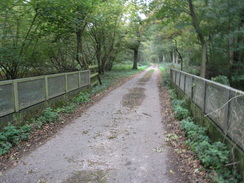 P2007A259782	The old railway bridge near Middleton Farm.