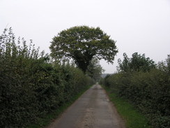 P2007A259790	The drive leading away from Faulkner's Down Farm.