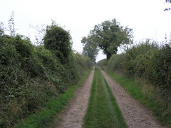 P2007A259792	The track heading away from Lower Wyke Farm.