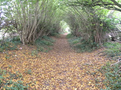 P2007A259805	The path heading south past the airstrip.