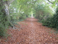 P2007A259812	The path heading towards Micheldever Road.