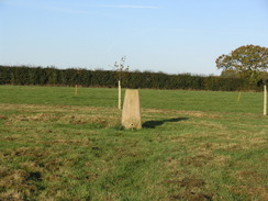 P2007A309851	The trig pillar at Stokehill Farm.