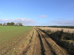 P2007A309881	The track leading north from Ibthorpe.