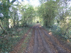 P2007A309885	Heading northwest towards Linkenholt.