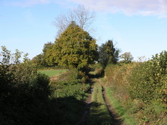 P2007A309887	Heading northwest towards Linkenholt.